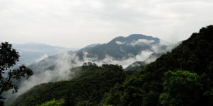 narinder-pal-jmeXz26F4ow-unsplash