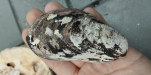 photo_3_2025-04-19_13-14-30