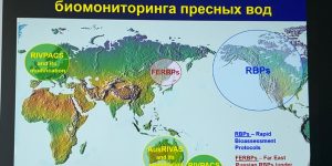 WhatsApp Image 2025-06-27 at 13.47.01