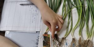 WhatsApp Image 2025-07-04 at 12.49.25